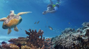 explore-icons-great-barrier-reef
